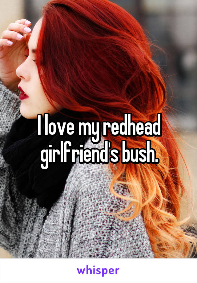 Redhead Bush
